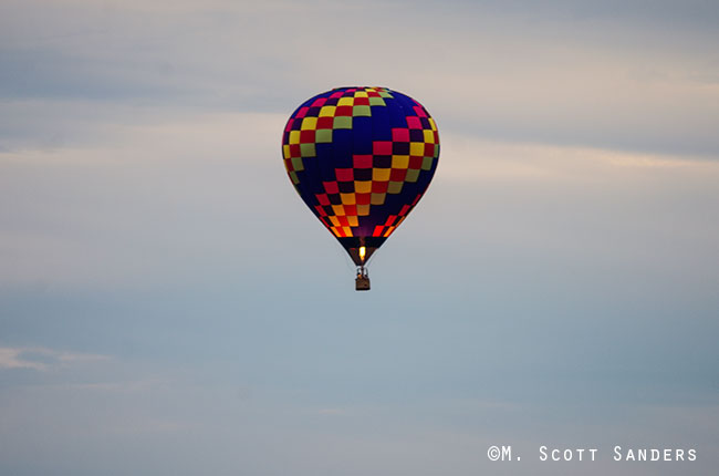 Balloon in Schnecksville
