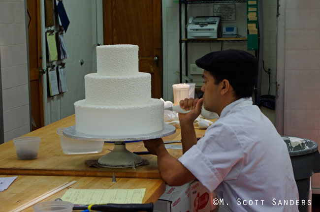 Icing on the Cake, Termini Brothers in Philadelphia, PA